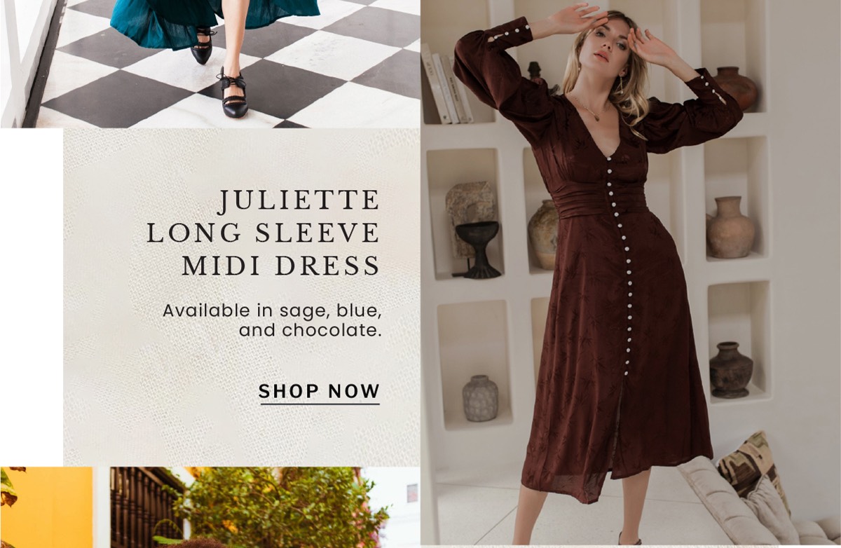 Shop the "Juliette Long Sleeve Midi Dress"