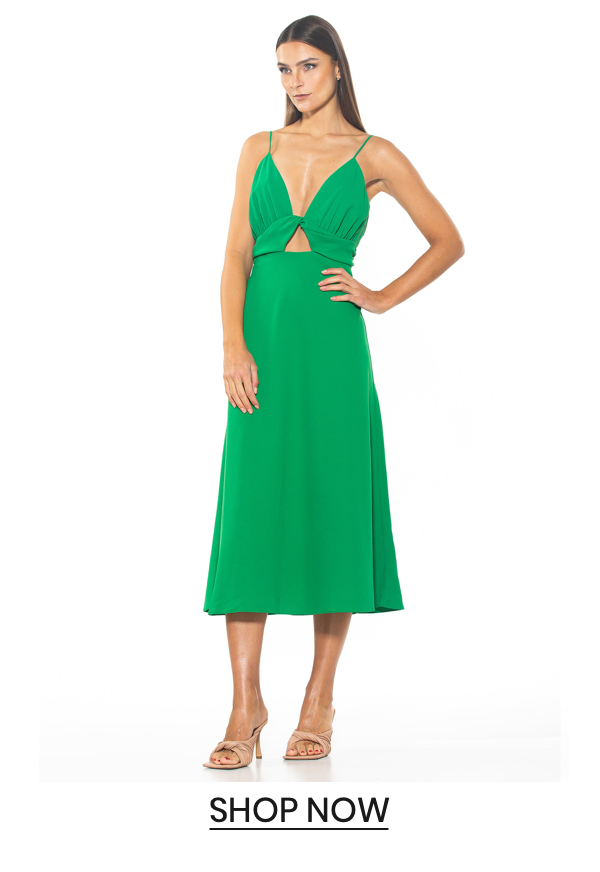 Shop the "Camila Draped Cutout Fit And Flare"